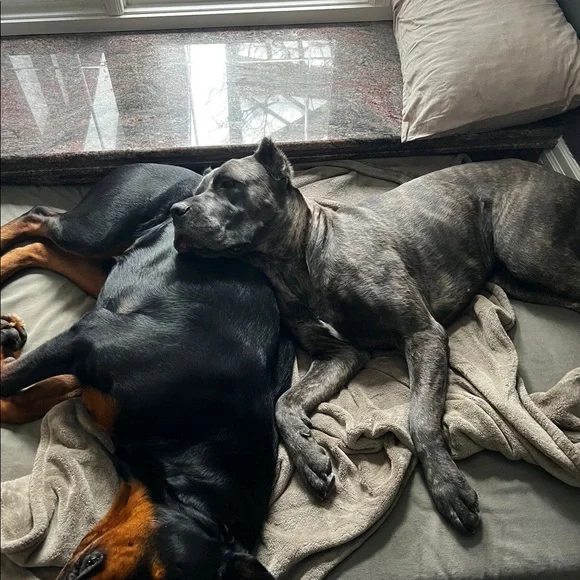 PLEASE READ! - Picture 5 of 5